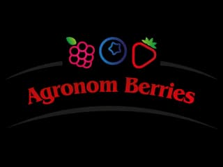 Agronom Berries